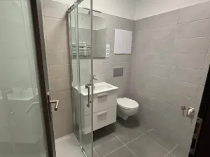 Pronájem bytu 1+kk, Písek, Vladislavova, 24 m2
