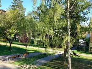 Pronájem bytu 1+1, Tábor, Sokolovská, 37 m2