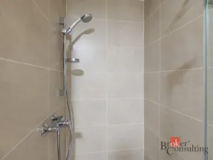 Pronájem bytu 1+kk, Plzeň - Jižní Předměstí, Železná, 31 m2