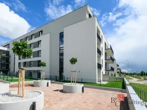 Pronájem bytu 1+kk, Plzeň - Jižní Předměstí, Železná, 31 m2