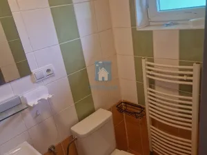 Pronájem bytu 1+kk, Praha, K cihelně, 55 m2