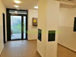 Prodej bytu 2+1, Veselí nad Lužnicí, Ak. Bydžovského, 60 m2