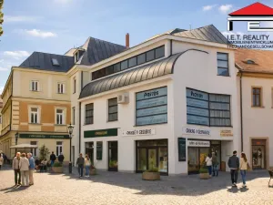 Pronájem obchodního prostoru, Brno, Josefská, 44 m2