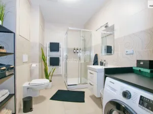 Pronájem bytu 3+kk, Liberec - Liberec II-Nové Město, Papírová, 94 m2