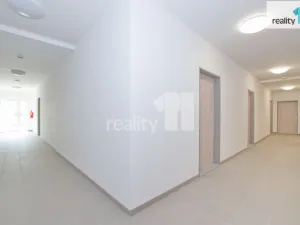 Pronájem bytu 3+kk, Liberec - Liberec II-Nové Město, Papírová, 94 m2