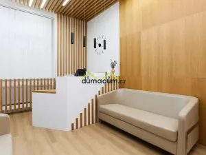 Pronájem ordinace, Praha - Holešovice, Jankovcova, 99 m2