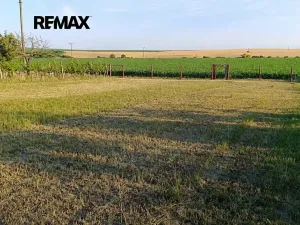 Pronájem sadu/vinice, Bořetice, 1092 m2