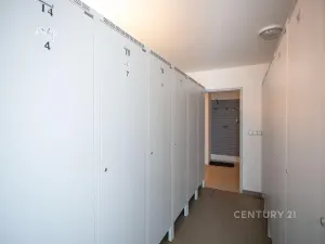 Prodej bytu 1+kk, Loučná pod Klínovcem, 26 m2