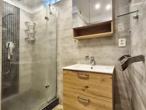 Pronájem bytu 2+1, České Budějovice, Sokolská, 66 m2