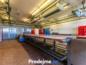 Prodej výrobních prostor, Borotice, 1821 m2