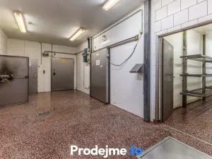 Prodej výrobních prostor, Borotice, 1821 m2
