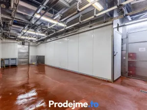 Prodej výrobních prostor, Borotice, 1821 m2