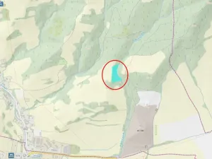 Prodej lesa, Životice u Nového Jičína, 12739 m2