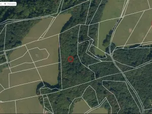 Prodej lesa, Životice u Nového Jičína, 12739 m2