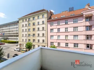 Pronájem bytu 1+1, Brno - Veveří, Burešova, 56 m2