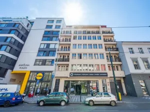 Pronájem bytu 3+kk, Praha - Karlín, Sokolovská, 110 m2