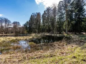 Prodej komerčního pozemku, Zbraslavice - Rápošov, 13515 m2