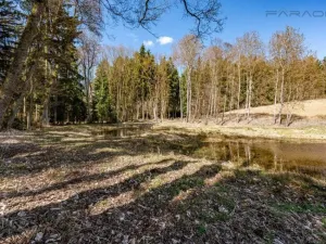 Prodej komerčního pozemku, Zbraslavice - Rápošov, 13515 m2