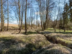 Prodej komerčního pozemku, Zbraslavice - Rápošov, 13515 m2