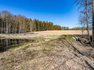 Prodej komerčního pozemku, Zbraslavice - Rápošov, 13515 m2