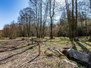 Prodej komerčního pozemku, Zbraslavice - Rápošov, 13515 m2