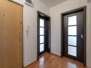 Prodej bytu 2+1, Vyškov - Vyškov-Předměstí, 55 m2