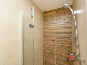 Pronájem bytu 1+kk, Plzeň - Jižní Předměstí, Železná, 29 m2