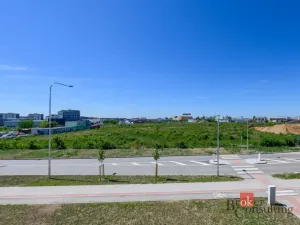 Pronájem bytu 1+kk, Plzeň - Jižní Předměstí, Železná, 29 m2