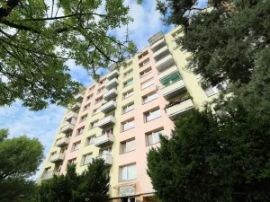 Prodej bytu 2+kk, České Budějovice - České Budějovice 2, J. Opletala, 40 m2