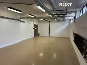 Pronájem skladu, Tábor, Světlogorská, 69 m2