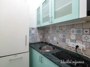 Pronájem bytu 5+kk, Praha - Nové Město, Gorazdova, 110 m2