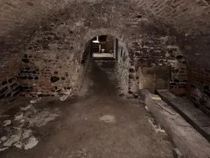 Prodej vinného sklepa, Novosedly, 136 m2
