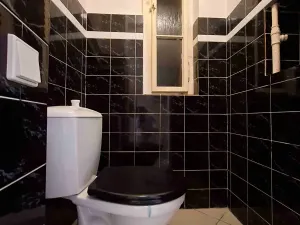 Pronájem bytu 3+1, Praha - Vinohrady, Mánesova, 90 m2
