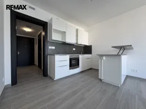 Pronájem bytu 1+kk, Olomouc - Nová Ulice, Třída Jiřího Pelikána, 38 m2