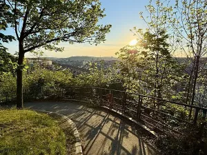 Prodej bytu 2+kk, Praha - Žižkov, Dalimilova, 50 m2