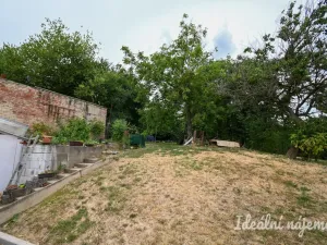 Pronájem bytu 3+1, Brno, Vážného, 80 m2