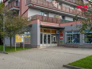 Pronájem bytu 1+kk, Brno - Slatina, Zlínská, 29 m2