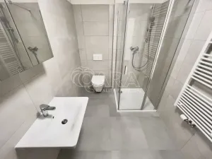 Pronájem bytu 1+kk, Brno - Ponava, Střední, 37 m2