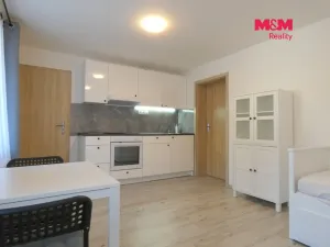 Prodej bytu 1+kk, Lošany, 27 m2