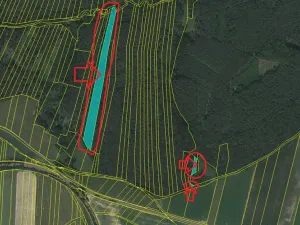 Prodej lesa, Všemyslice, 12022 m2