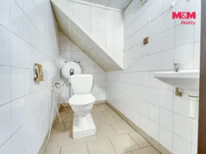 Prodej komerčního pozemku, Vráž, 16101 m2