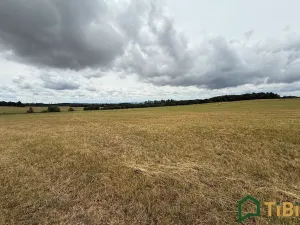 Prodej pole, Suchý, 2000 m2