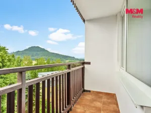 Prodej bytu 1+kk, Nový Bor, Svojsíkova, 29 m2