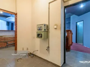 Pronájem obchodního prostoru, Plzeň - Východní Předměstí, Koterovská, 217 m2