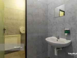 Pronájem obchodního prostoru, Plzeň - Východní Předměstí, Koterovská, 217 m2