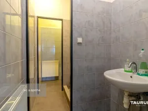 Pronájem obchodního prostoru, Plzeň - Východní Předměstí, Koterovská, 217 m2