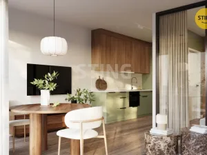 Prodej bytu 2+kk, Český Těšín, 42 m2