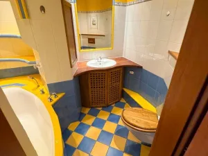 Pronájem bytu 1+1, Cheb, Dvořákova, 35 m2