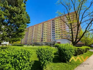 Prodej bytu 4+kk, Hradec Králové - Pražské Předměstí, Jungmannova, 90 m2