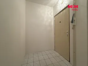 Pronájem bytu 1+1, Protivín, B. Němcové, 42 m2